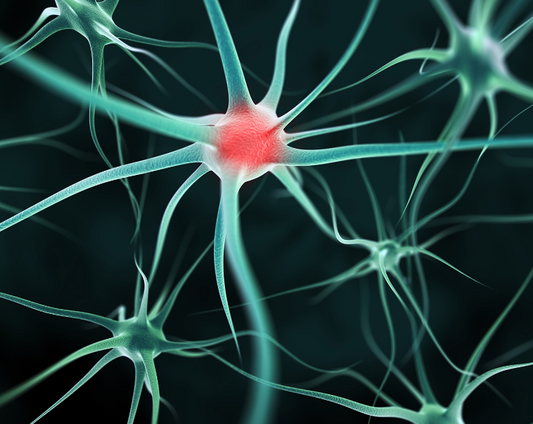 How to Identify Nerve Damage?