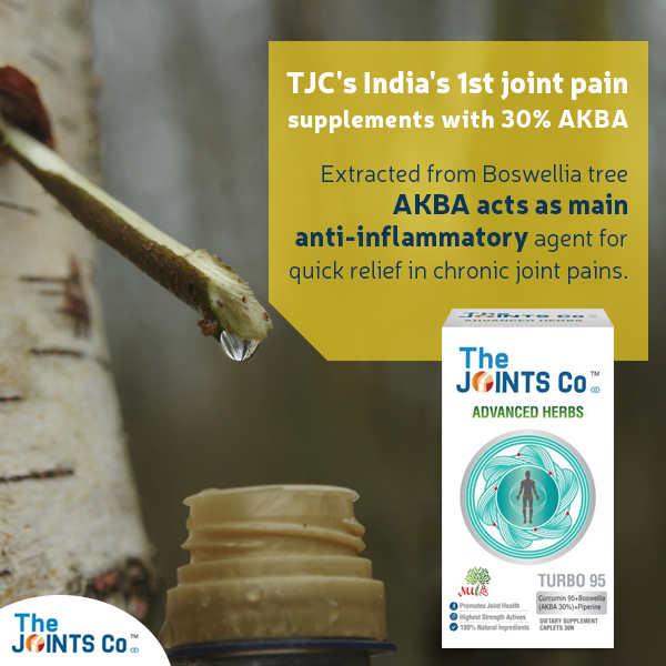 The Joints Co Advanced Herbs Plus