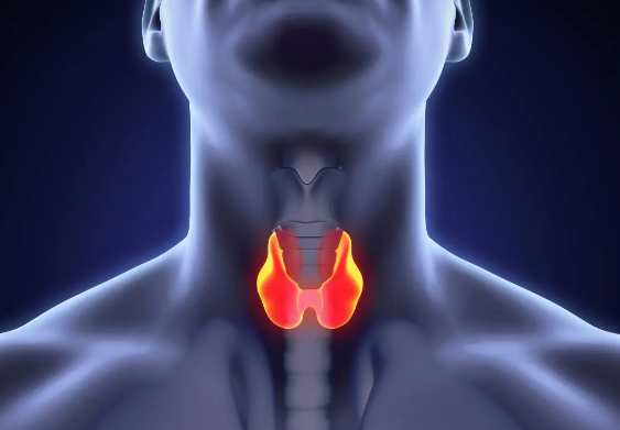 Risk Factors for Developing Thyroid Disease