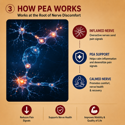 Nutrisage PEA(Palmitoylethanolamide) supplement
