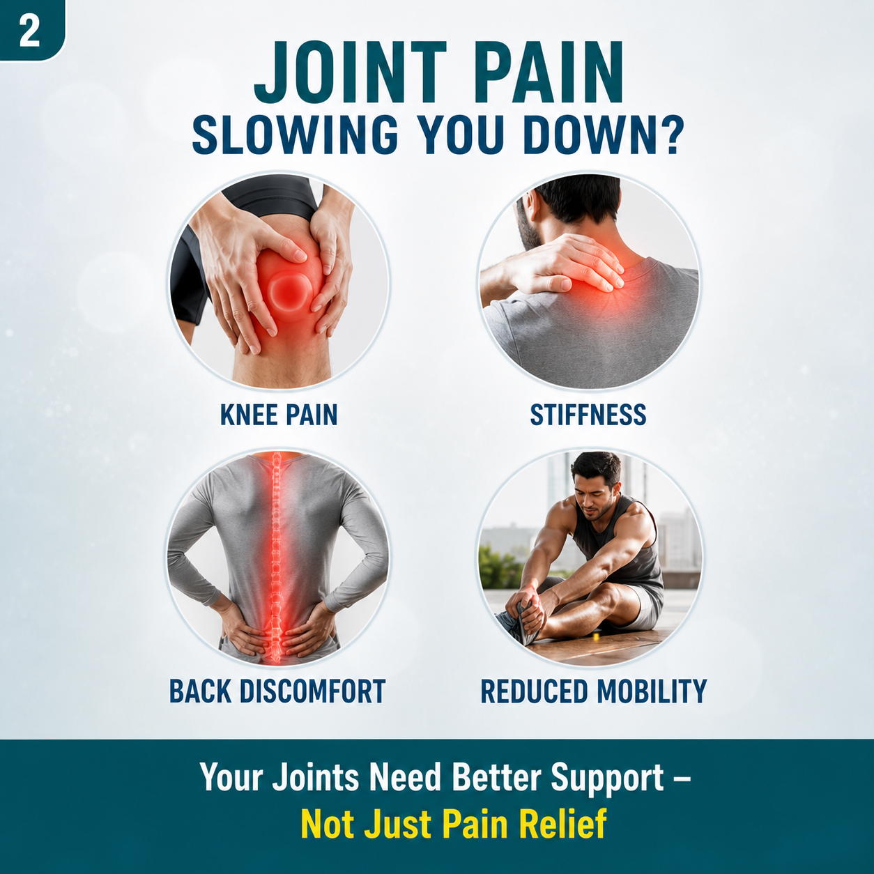 The Joints Co Advanced Herbs Plus