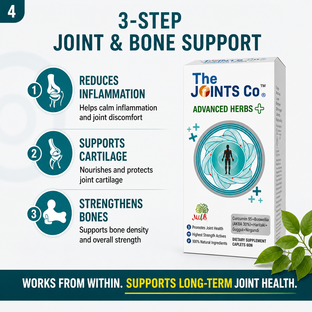 The Joints Co Advanced Herbs Plus