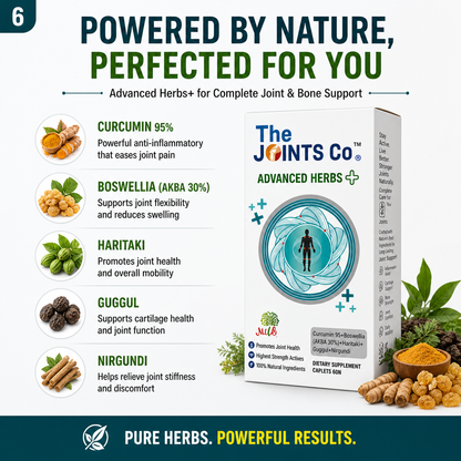 The Joints Co Advanced Herbs Plus