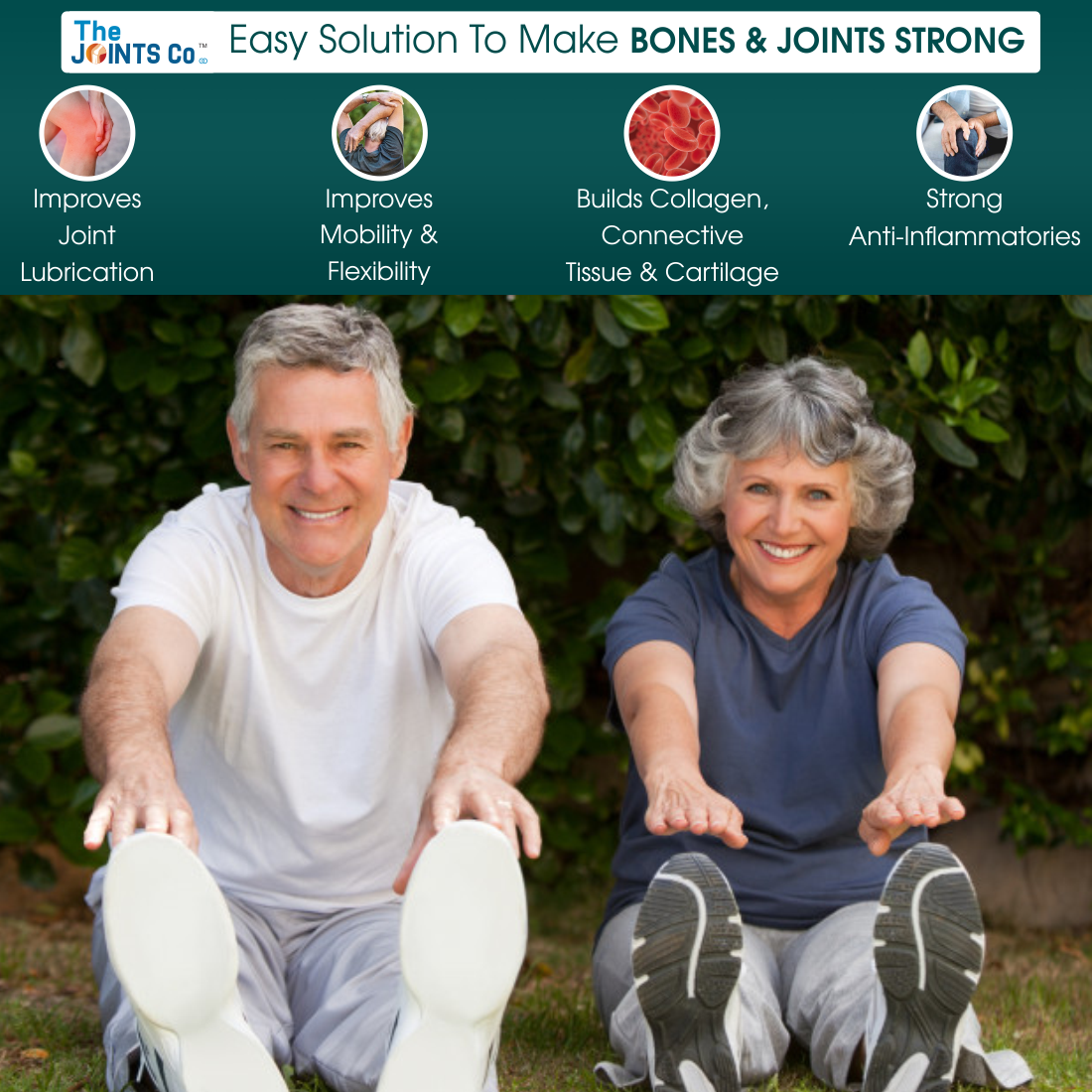 The Joints Co Absolute Ease