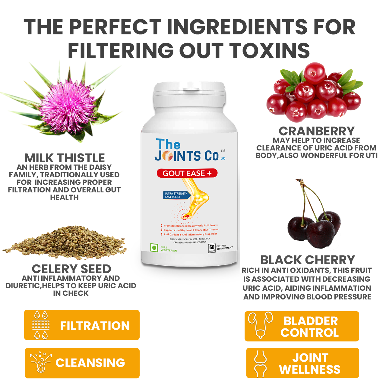 The Joints Co Gout Ease Plus