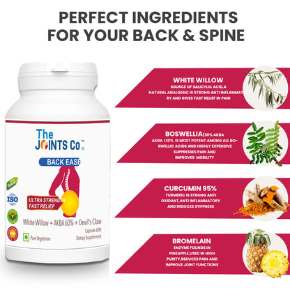 The Joints Co Back Ease